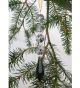 Coloured Octagon and Spear Point Crystal Decoration