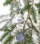 Octagon and Maple Leaf Crystal Decoration