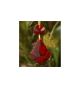 Small Maple Leaf Crystal Decoration
