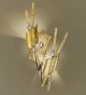 Arlecchino design wall lamp with Swarovski crystal details