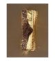 Forme design square metal wall light that has drill & flame cut details