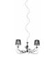 Pavone Design 2 Arm Metal Framed Chandelier