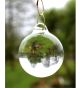 Smooth Glass Balls