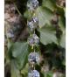 Chain of 14mm Asfour Crystal Octagons SPXC35